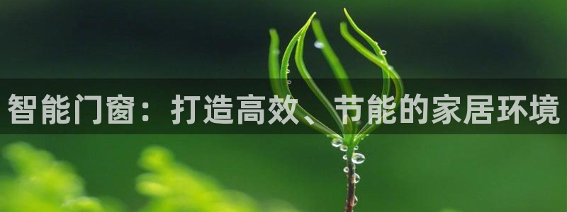 云顶国际服在哪下载