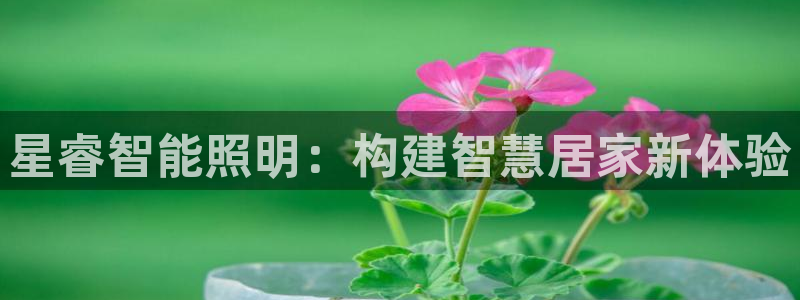 云顶国际广场A座