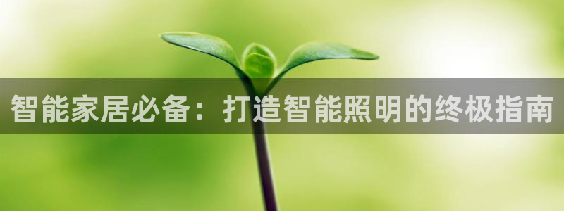 云顶国际足球app下载安装