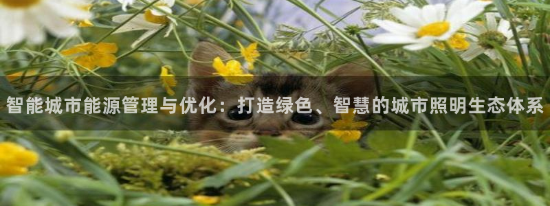 云顶国际服版本