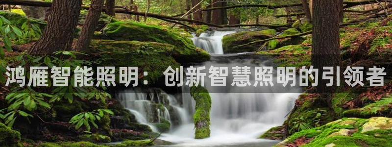 云顶集团注册送28元：鸿雁智能照明：创新