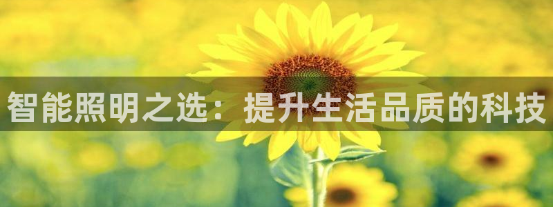 云顶国际网页版官网