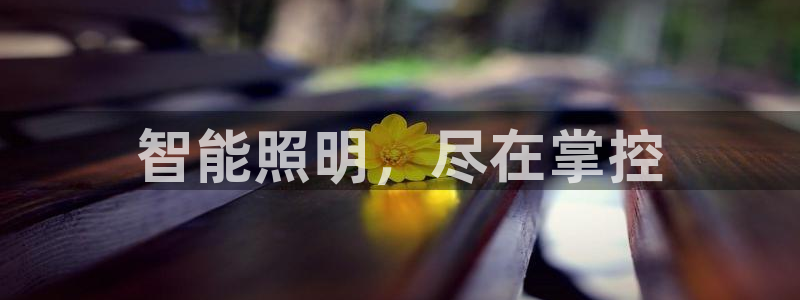 云顶国际app手机版下载安装