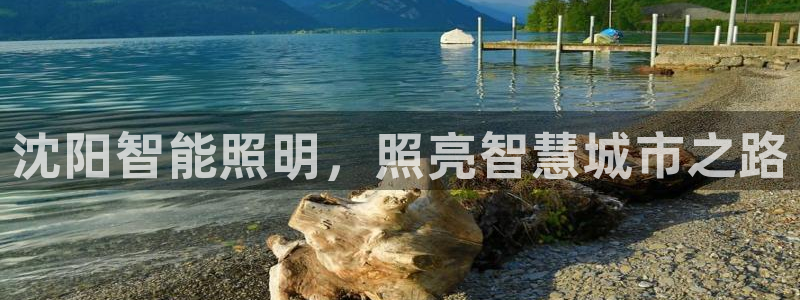 云顶国际集团游戏app