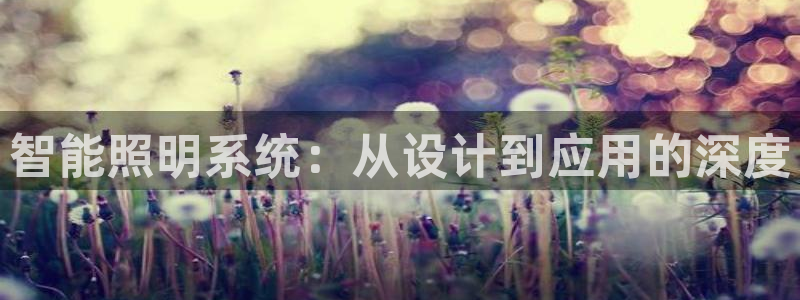 云顶集团注册送28网站：智能照明系统：从