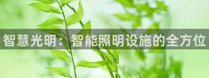云顶国际版怎么下载