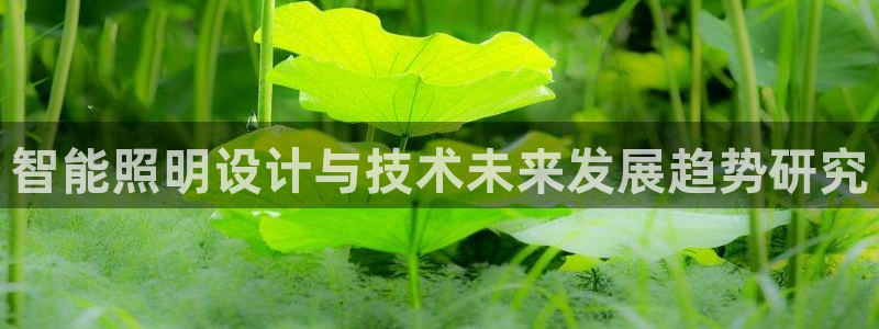 云顶国际停车费多少钱：智能照明设计与技术