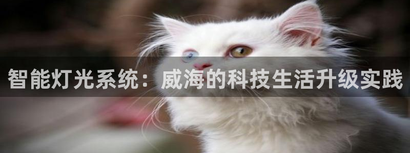 云顶国际AB网