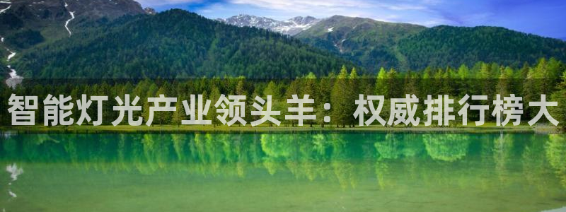 云顶集团电话