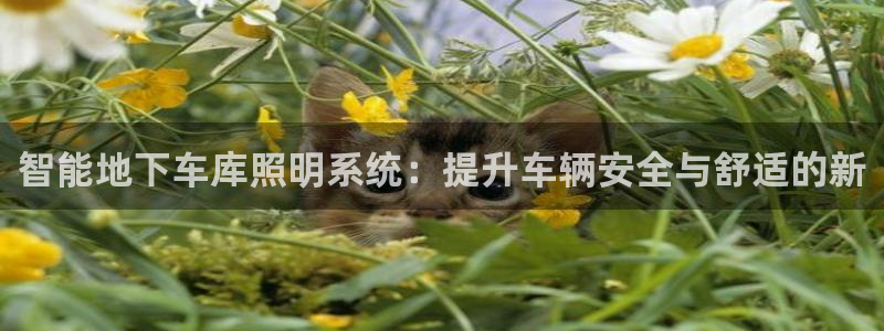 云顶集团 中国排名第几：智能地下车库照明