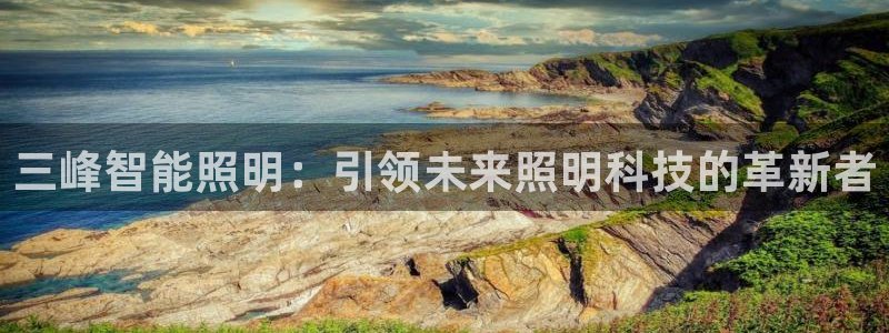 云顶国际nba智库：三峰智能照明：引领未