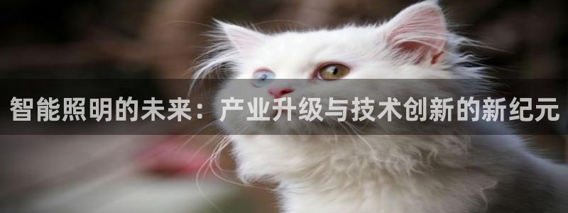 云顶国际app官方下载安装：智能照明的未