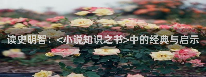 h辣文小说系列乱文