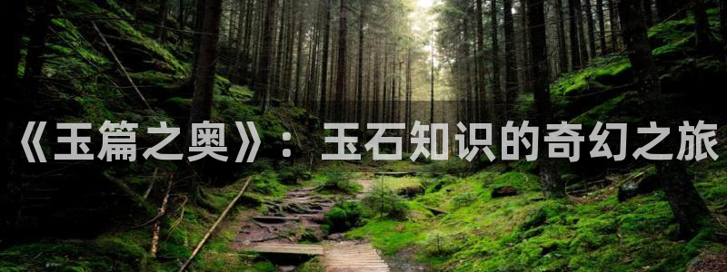 np高辣文小说